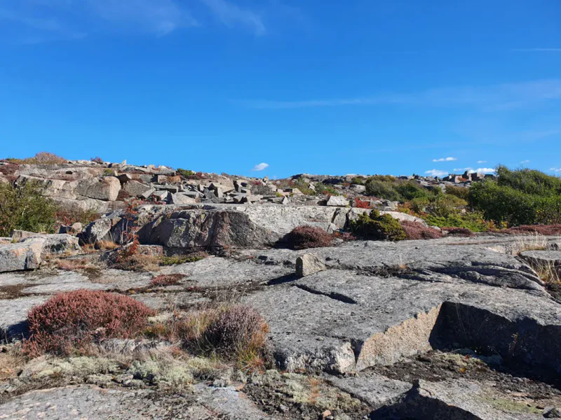 Poängpromenad i Sibirien