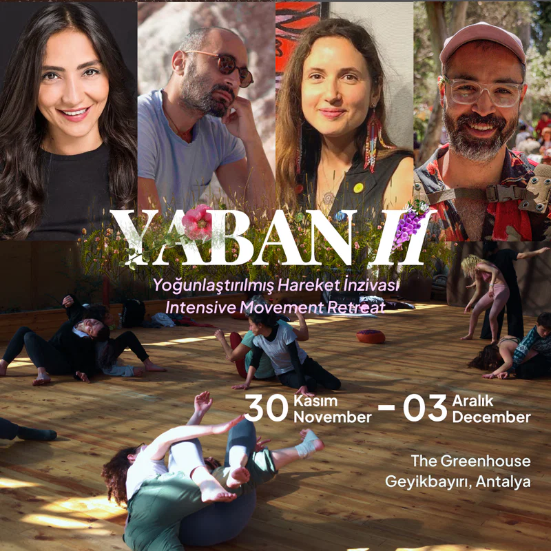 Yaban II