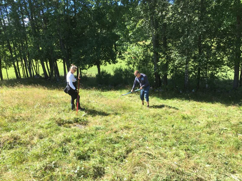 Slåttergille på Gillingsmarken