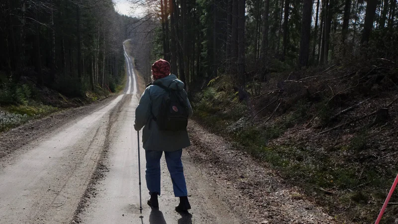 Berättarföreställningen ”Vad hände sen?"