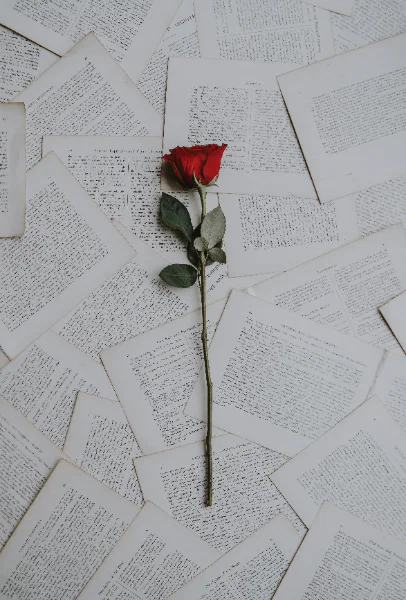 100-Hour Mystical Love Poetry Training
