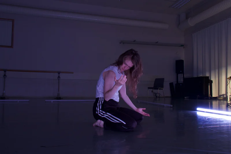 DELTAGANDE WORKSHOP AV PROJEKTET DRÖMMAR